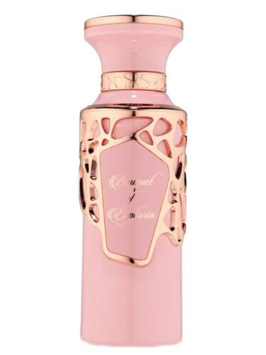 10 Lataffa/Fragrance World Combo